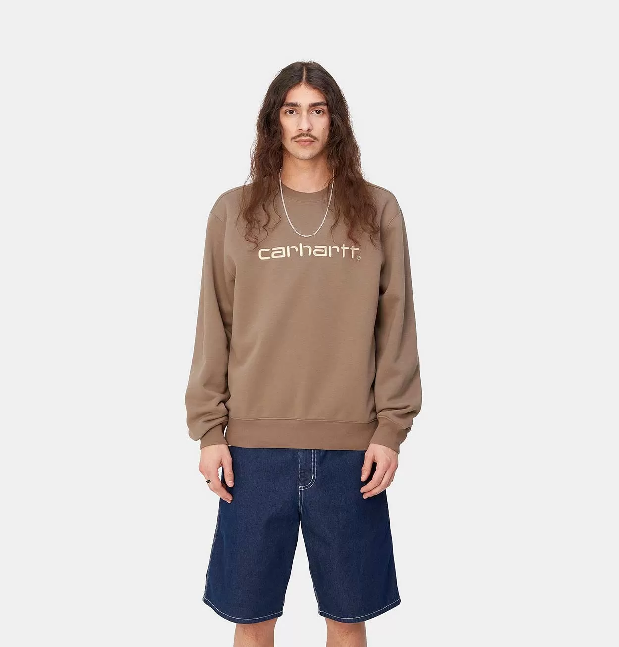 Carhartt WIP Carhartt Sweatshirt in Branch and Rattan