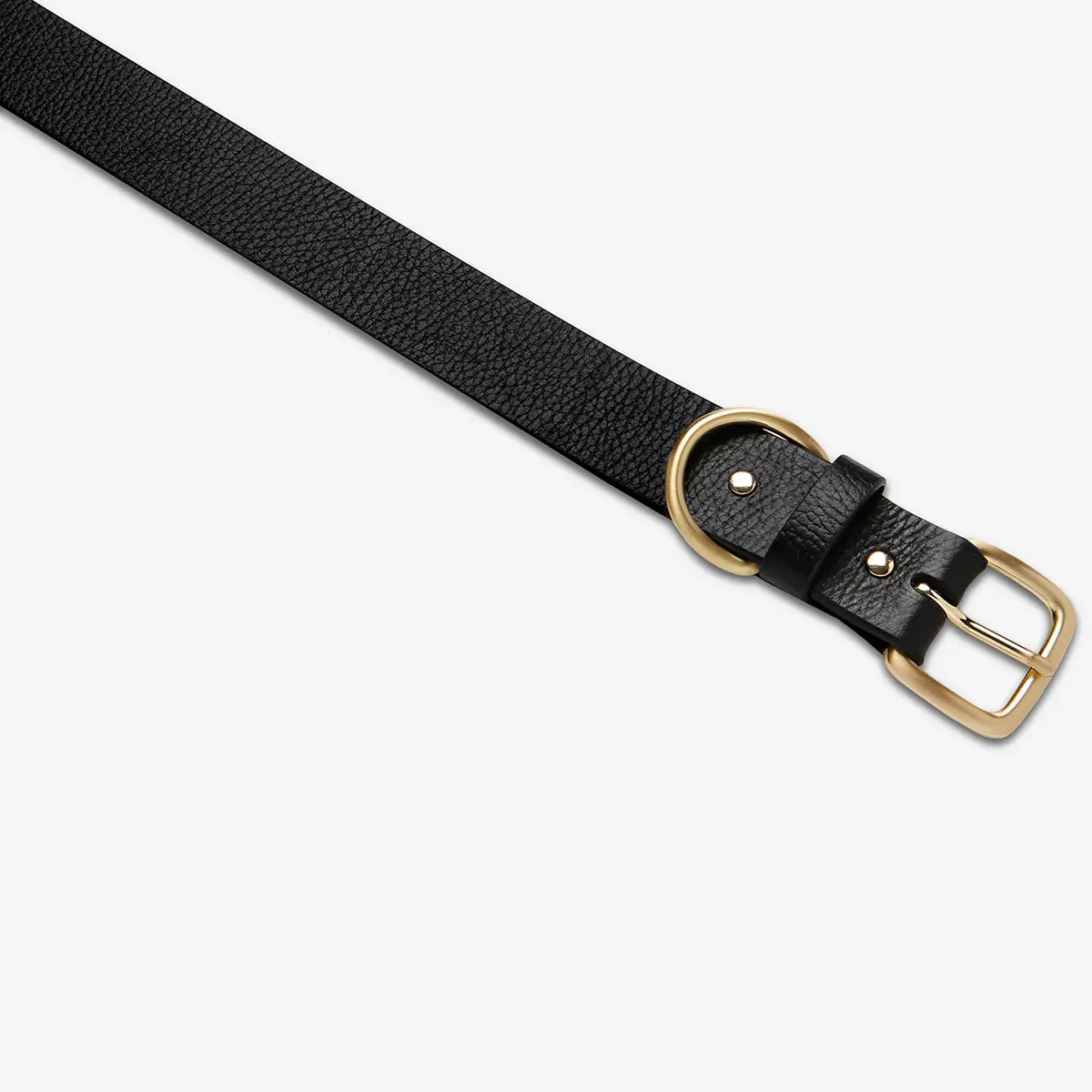 Disarm - Black Gold Leather Belt