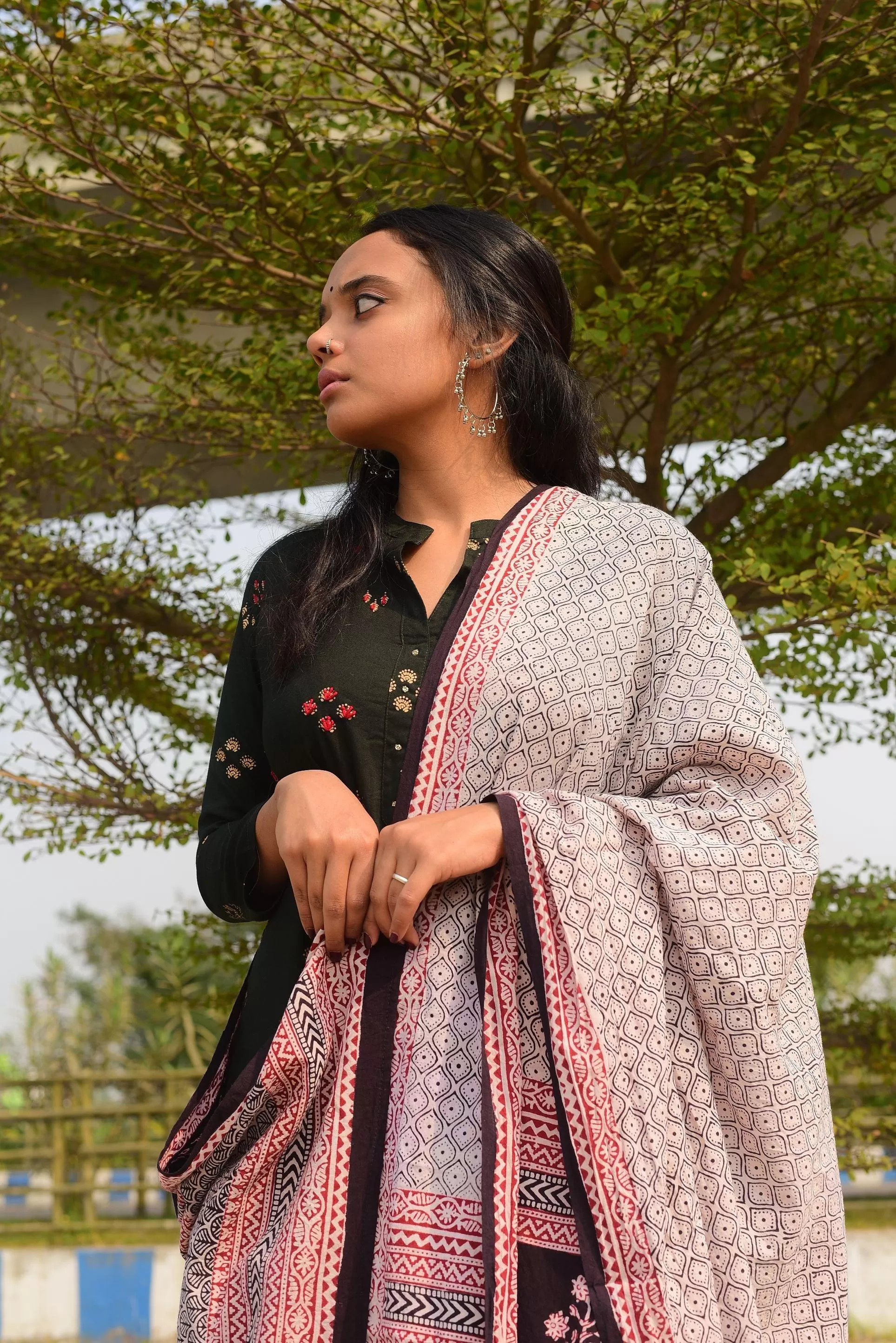 Kaisori Nandana collection - Bagh black honey comb block printed dupatta