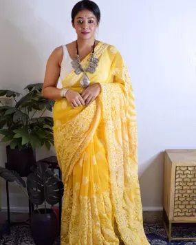 Nazm Half Jaal Chikankari Saree