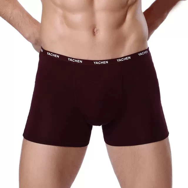 Sexy Men Boxer, Soft Breathable Underwear Male Comfortable